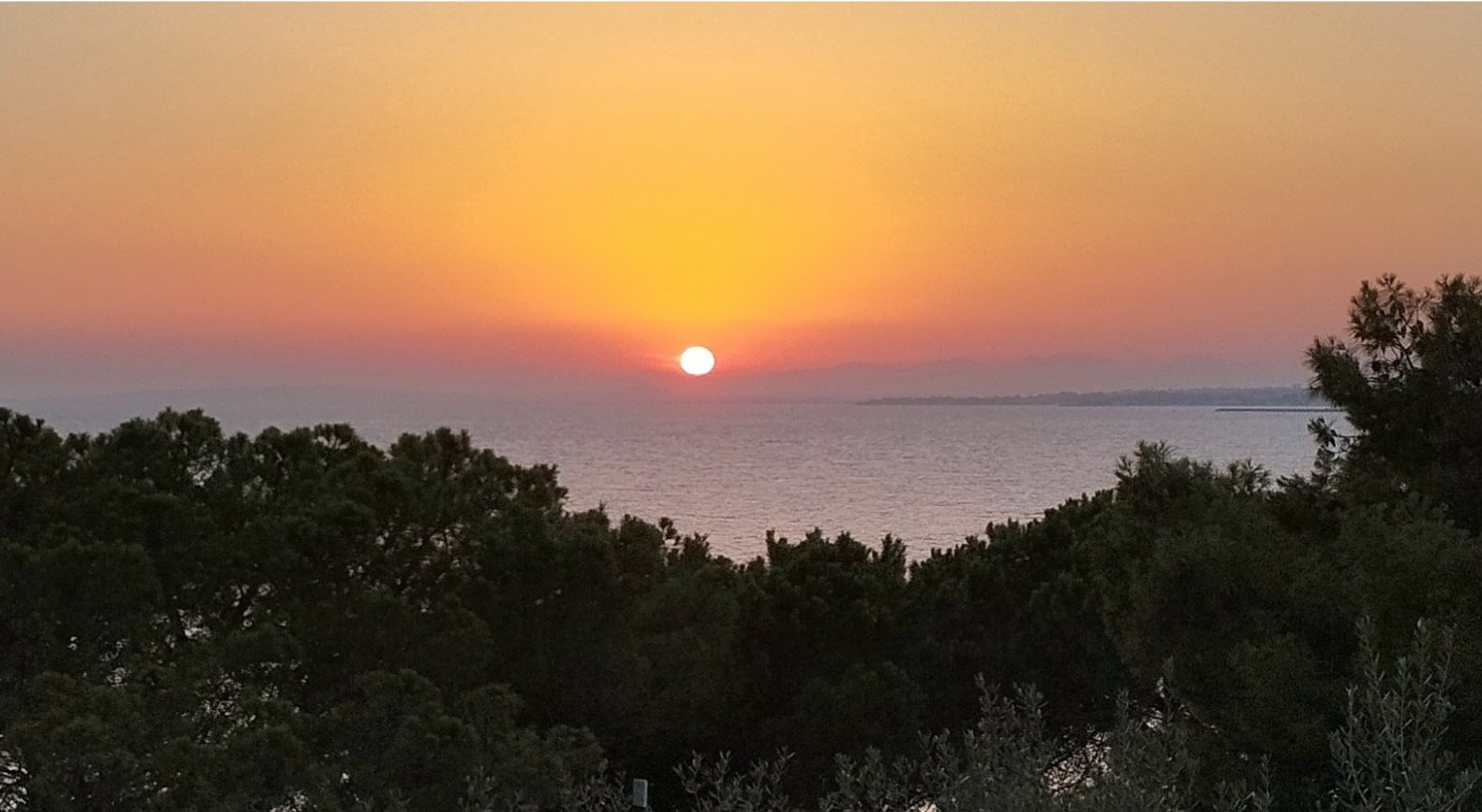 Tramonto sul mare sopra la vegetazione