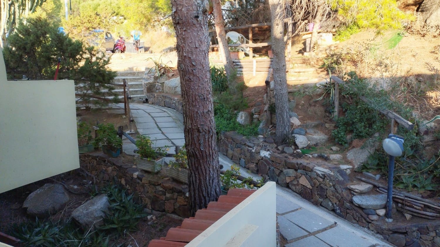 Sentiero in pietra tra i pini che porta alla casa
