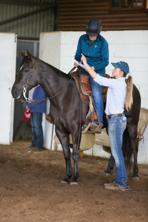 Lezione di equitazione con cavallo nero