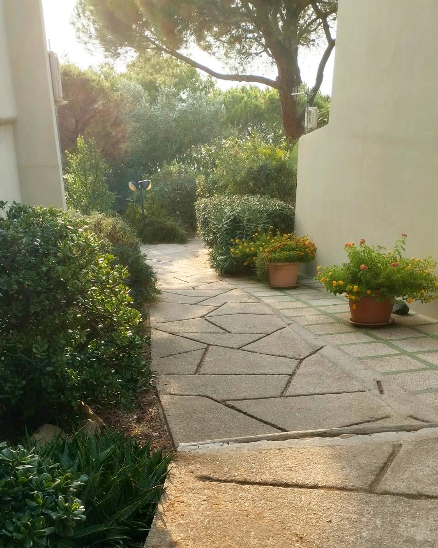 Vialetto in pietra con piante nel giardino